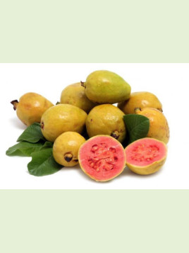 Psidium guajava / Goyavier