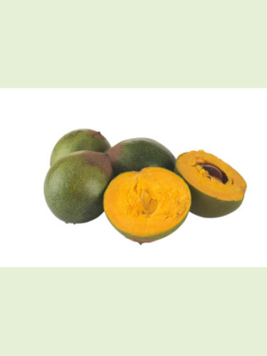 Pouteria lucuma