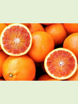 Citrus x sinensis 'Tarocco rosso' /  Oranger tarocco