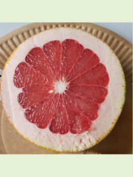 Citrus paradisi 'Star Ruby' / Pomelo rose