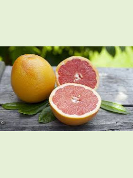 Citrus paradisi 'Red blush' / Pomelo rose