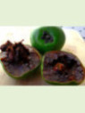 Diospyros nigra / sapote noire