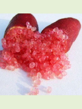 Microcitrus austalasica 'Pink ice' / citron caviar